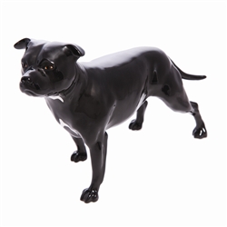 Staffordshire Bull Terrier - Black